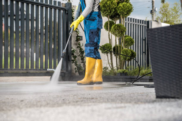 Best Roof Washing  in Fordoche, LA